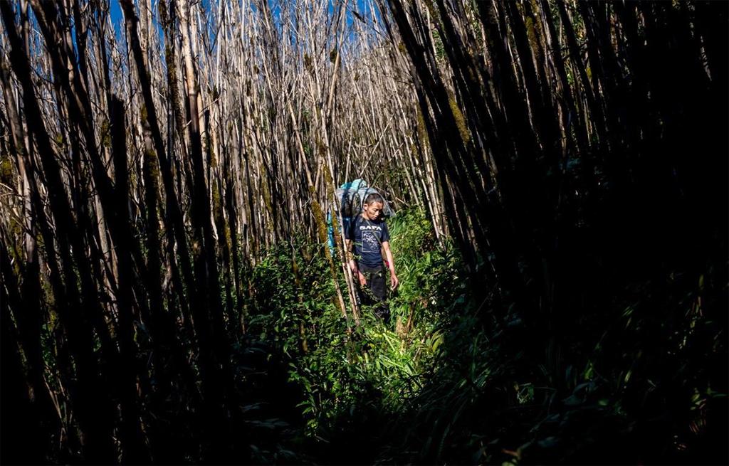 Lần đầu tiên Việt Nam có đại diện tại ban giám khảo World Press Photo