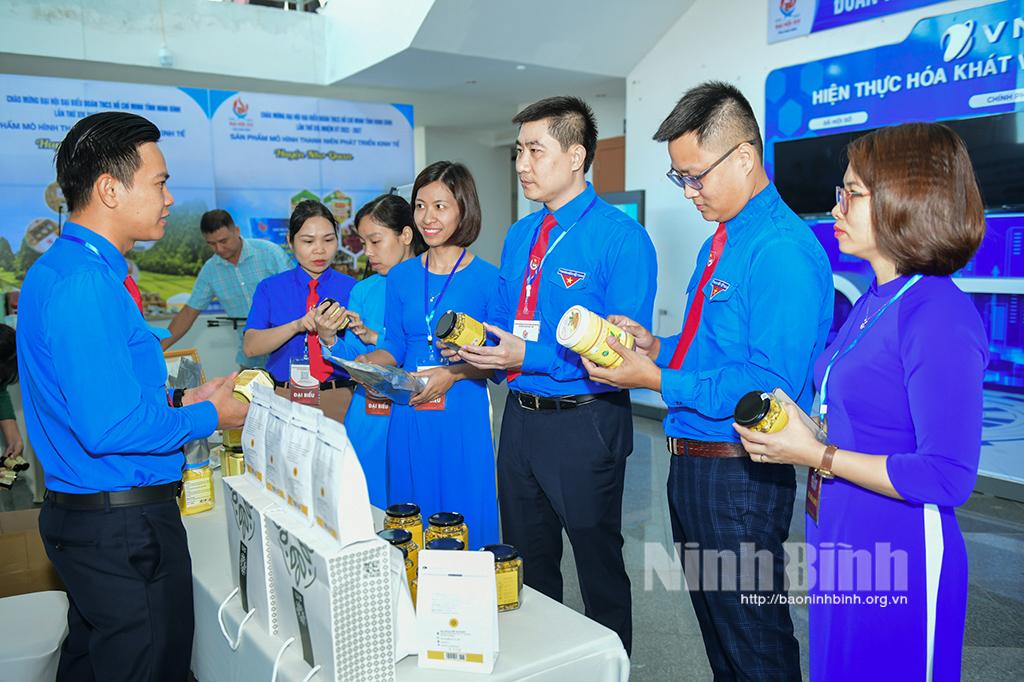 Các hoạt động trước thềm Đại hội Đoàn TNCS Hồ Chí Minh tỉnh lần thứ XIV