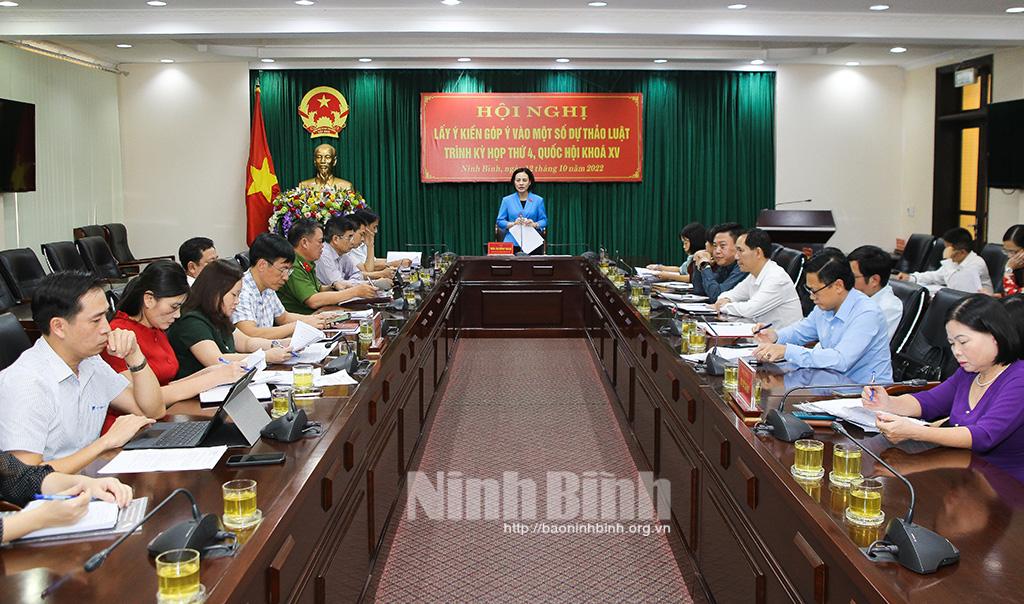Đoàn đại biểu Quốc hội tỉnh lấy ý kiến góp ý vào một số dự thảo luật