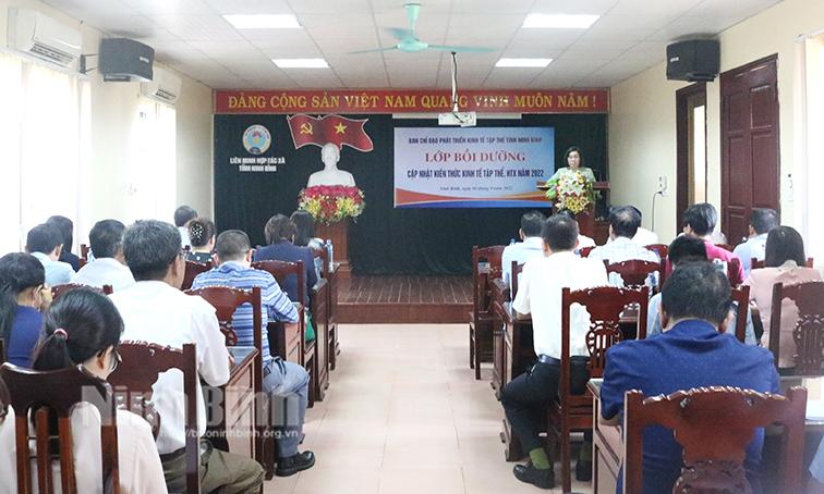 Từng bước nâng cao chất lượng nguồn nhân lực cho các HTX