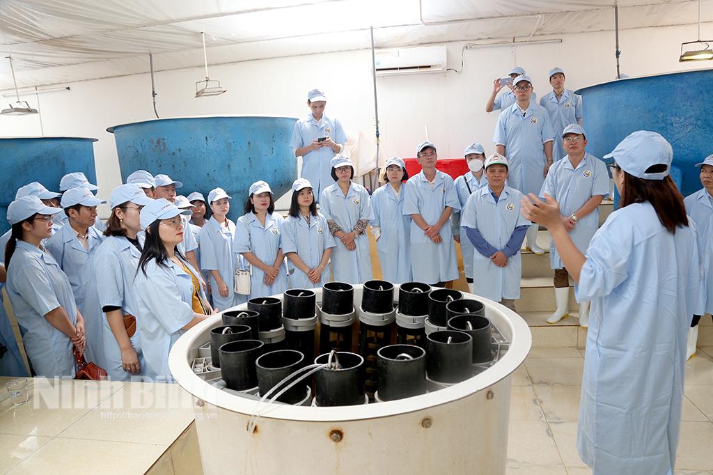 Tập huấn, bồi dưỡng kiến thức công tác xây dựng nông thôn mới