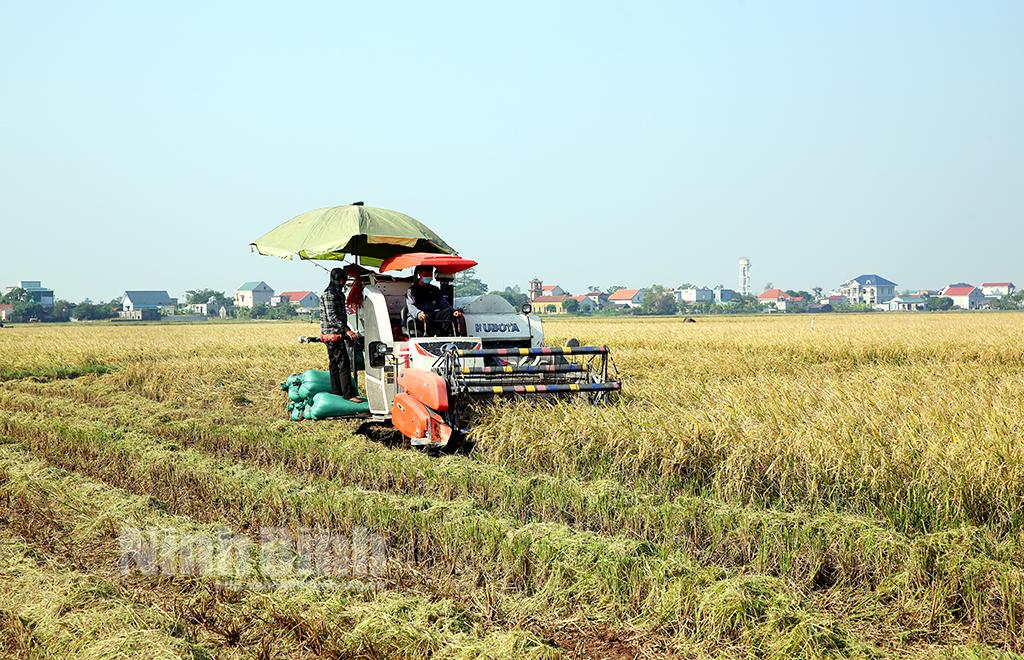 Ba "trụ cột" để phục hồi kinh tế nhanh và bền vững