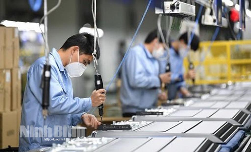 Enterprises in Ninh Binh's industrial parks step up production
