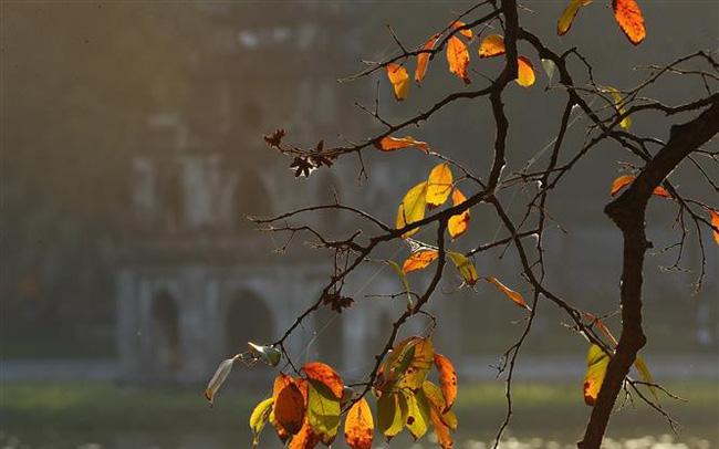 Bắc Bộ chuyển nắng, cuối tuần có không khí lạnh kèm mưa