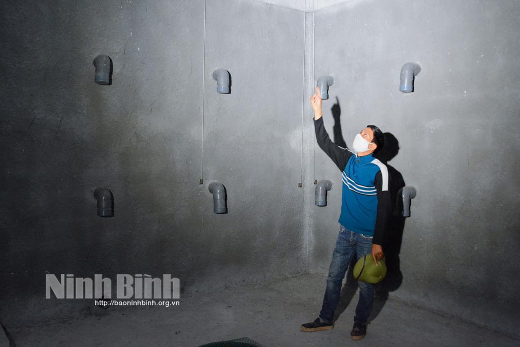 Khởi nghiệp làm giàu từ nuôi chim yến trong nhà