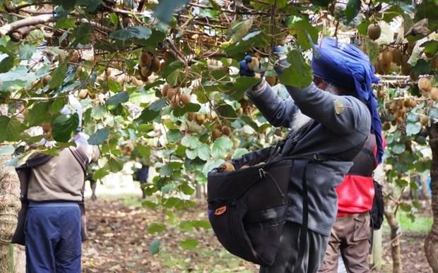 Canada thông báo kế hoạch nhập cư do thiếu lao động