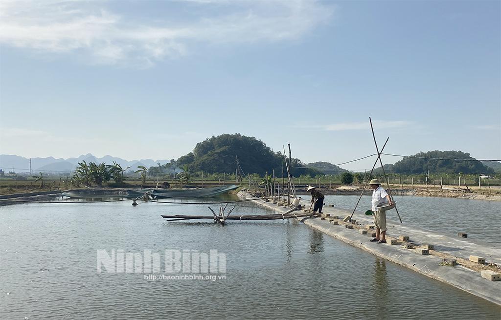Yên Thành khuyến khích phát triển các mô hình nuôi thủy sản