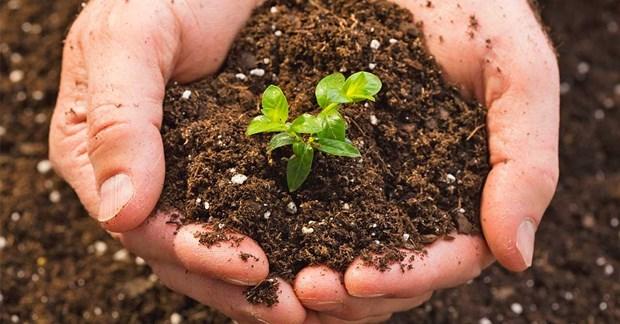 Agricultural sector aims to raise organic fertilizer proportion to 25% in 2025