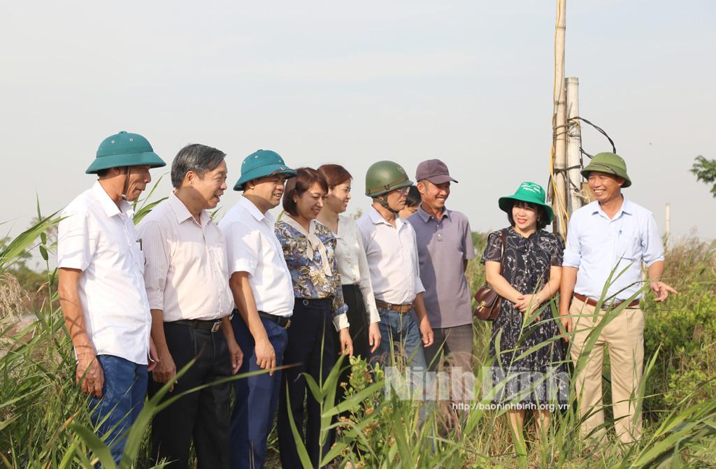 Cá Nâu, giống thủy sản tiềm năng vùng bãi bồi ven biển