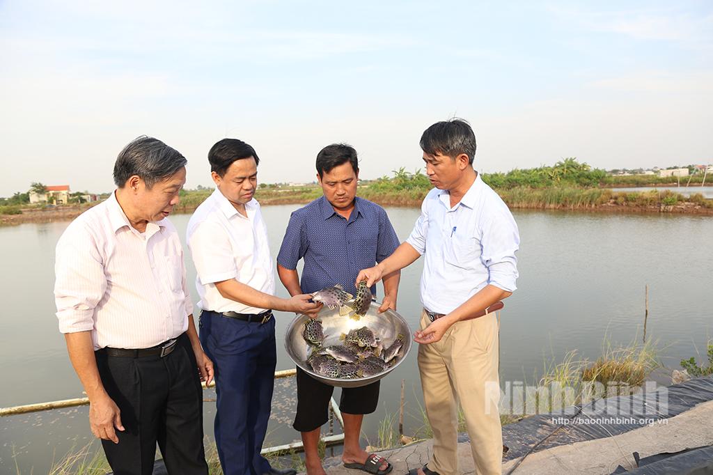 Hội thảo, trình diễn mô hình nuôi cá Nâu vùng bãi bồi ven biển