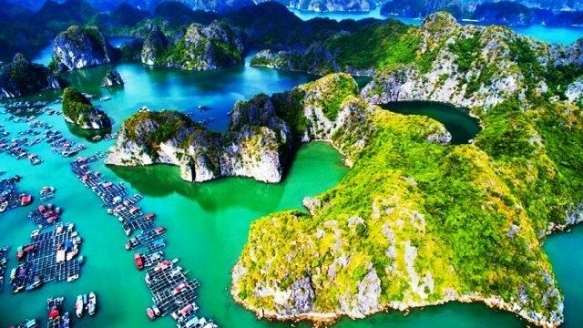 UNDP: Efficient management and conservation of biodiversity reserves for the community and environment