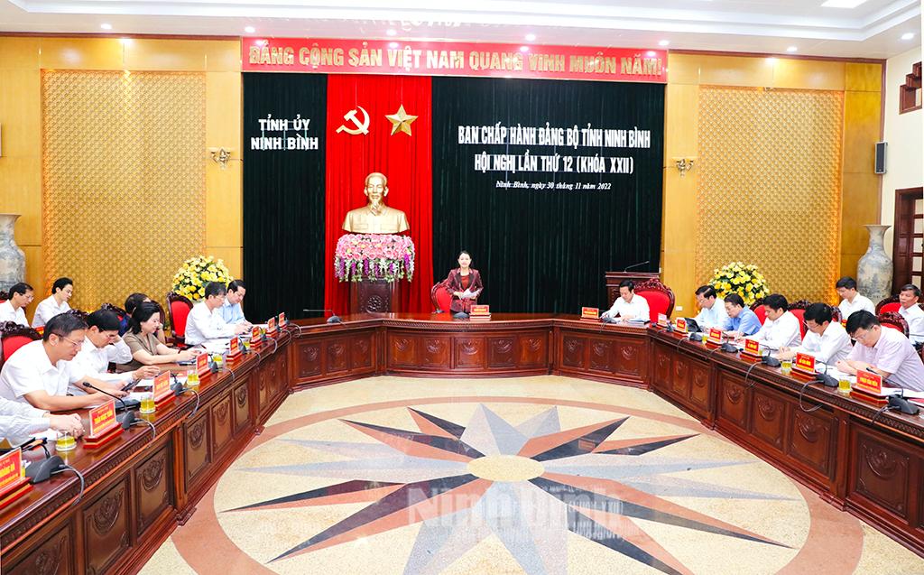 Hội nghị Ban Chấp hành Đảng bộ tỉnh lần thứ 12