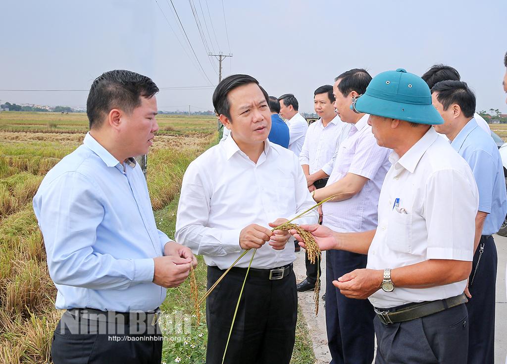 Bàn giải pháp tháo gỡ khó khăn trong xây dựng nông thôn mới ở huyện Kim Sơn