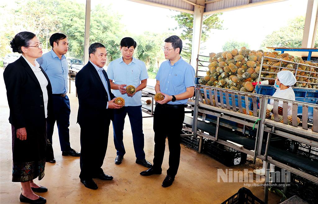 Đoàn đại biểu Đại sứ quán Lào thăm Công ty cổ phần Thực phẩm xuất khẩu Đồng Giao
