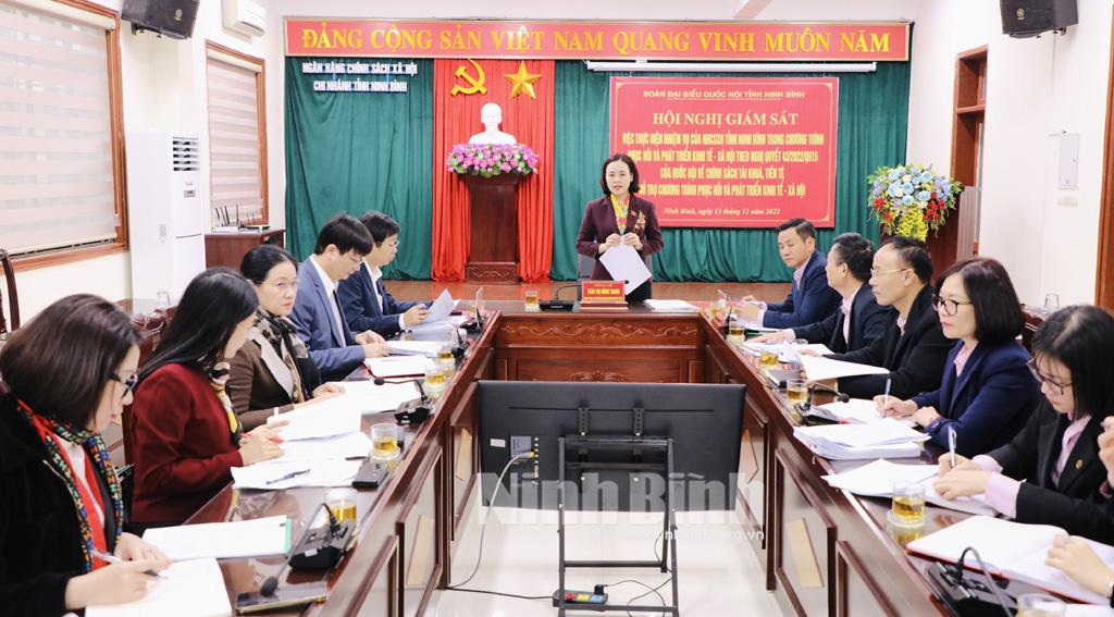 Đoàn ĐBQH tỉnh giám sát tại Ngân hàng Chính sách xã hội tỉnh