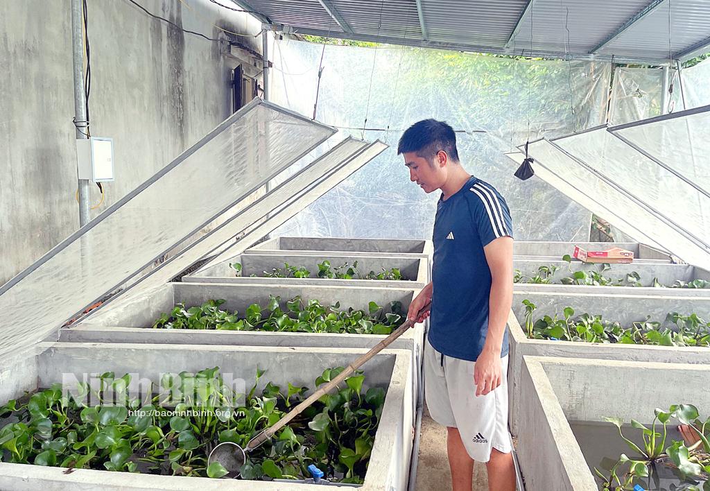 Khởi nghiệp thành công từ mô hình nuôi cà cuống