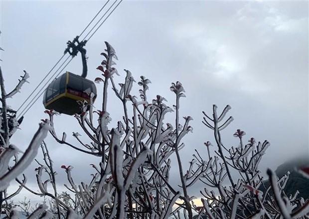 Rét đậm, rét hại và sóng lớn trên biển gây thiệt hại tại nhiều tỉnh