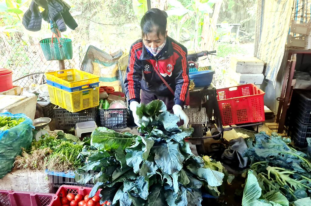 Rét đậm, rét hại kéo dài khiến rau xanh tăng giá
