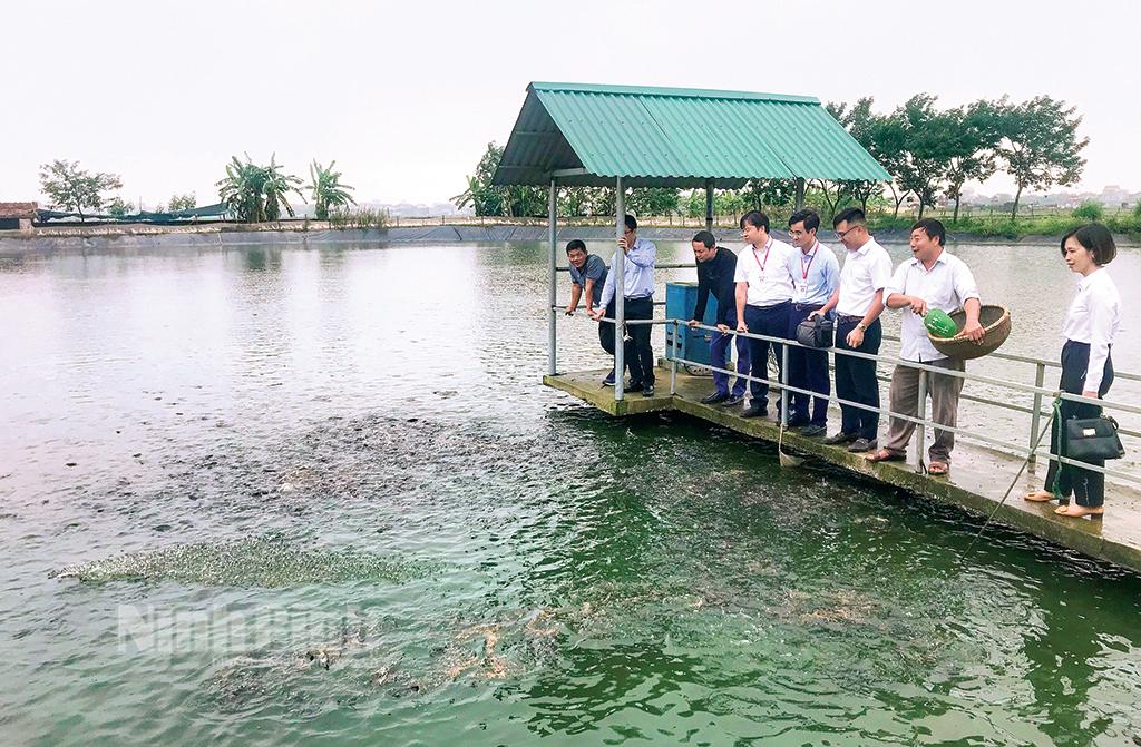 Sản xuất nông nghiệp vượt khó giành thắng lợi