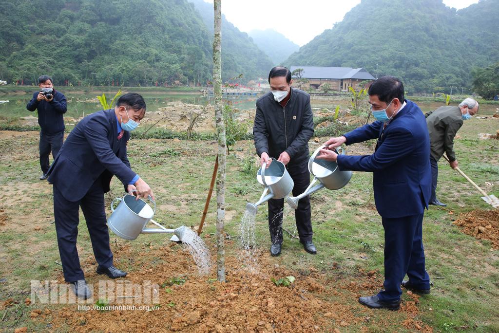 Hội Cựu chiến binh tỉnh phát động Tết trồng cây
