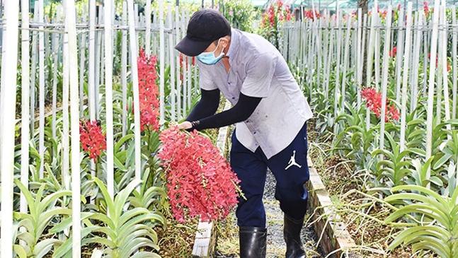 Investment for farmers enhanced towards agricultural development