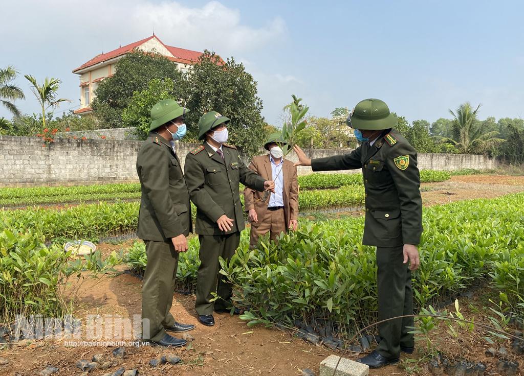 Chuẩn bị tốt các điều kiện để trồng cây, trồng rừng vụ Xuân