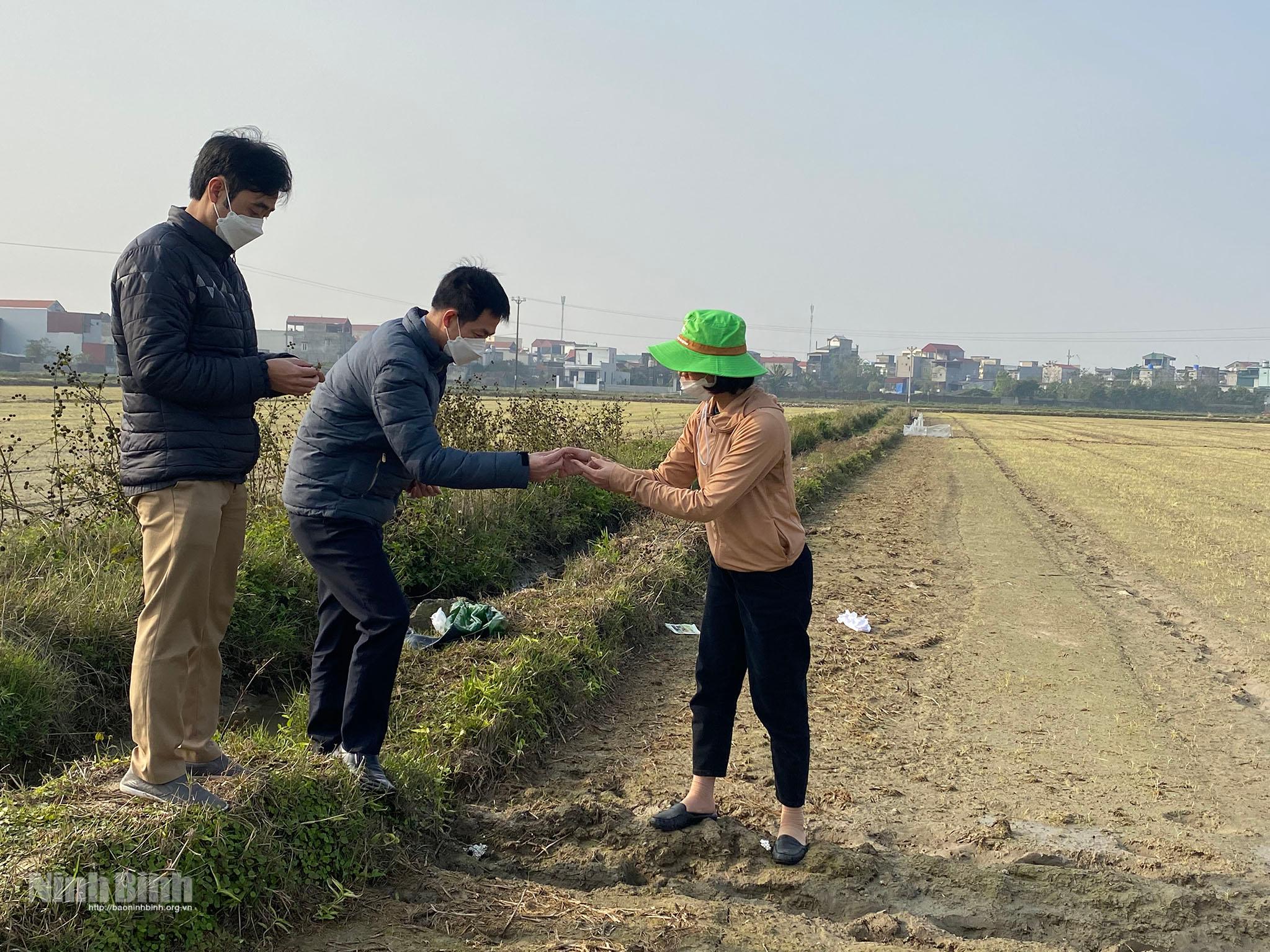 Khẩn trương khắc phục hậu quả rét đậm, rét hại