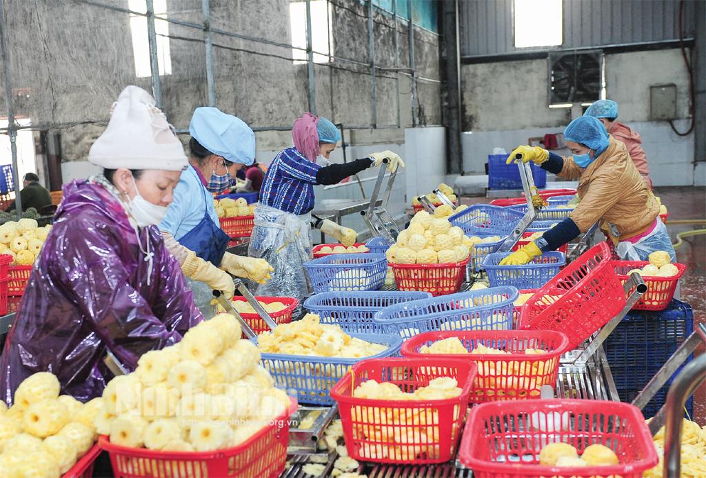 Bước nhảy vọt trong hoạt động xuất khẩu