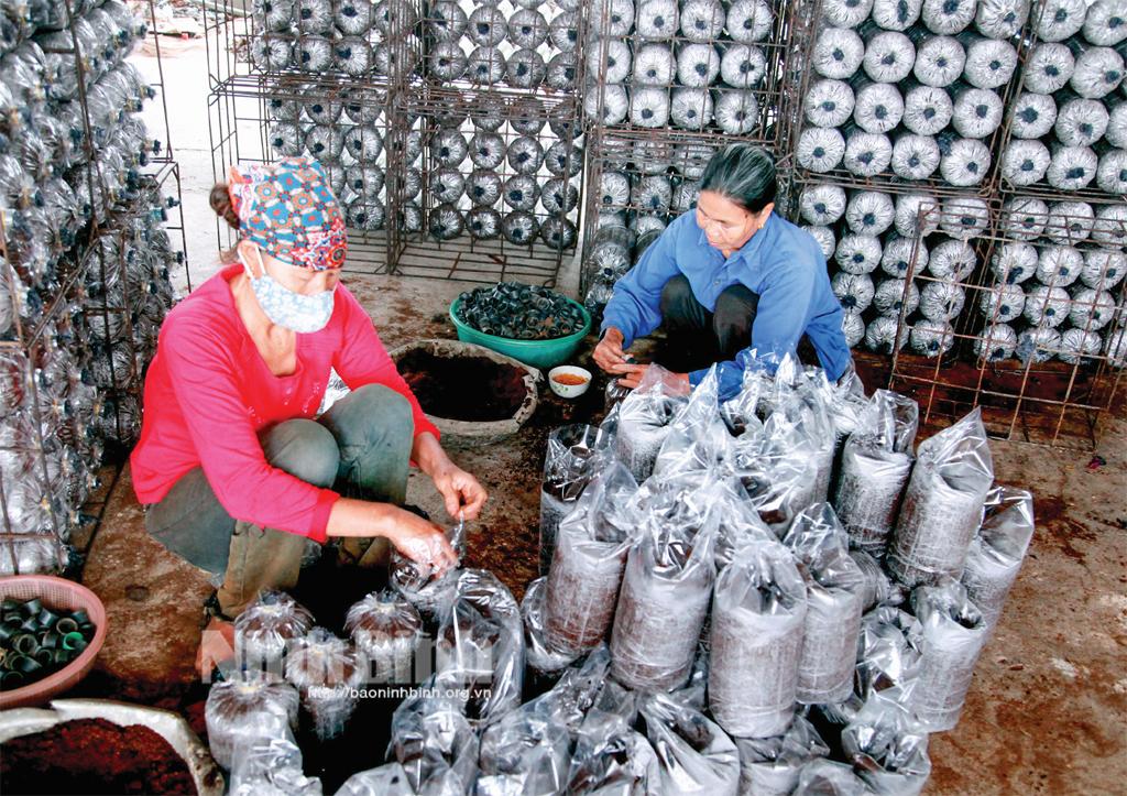 Yên Mô: Hướng tới nền sản xuất nông nghiệp hàng hóa