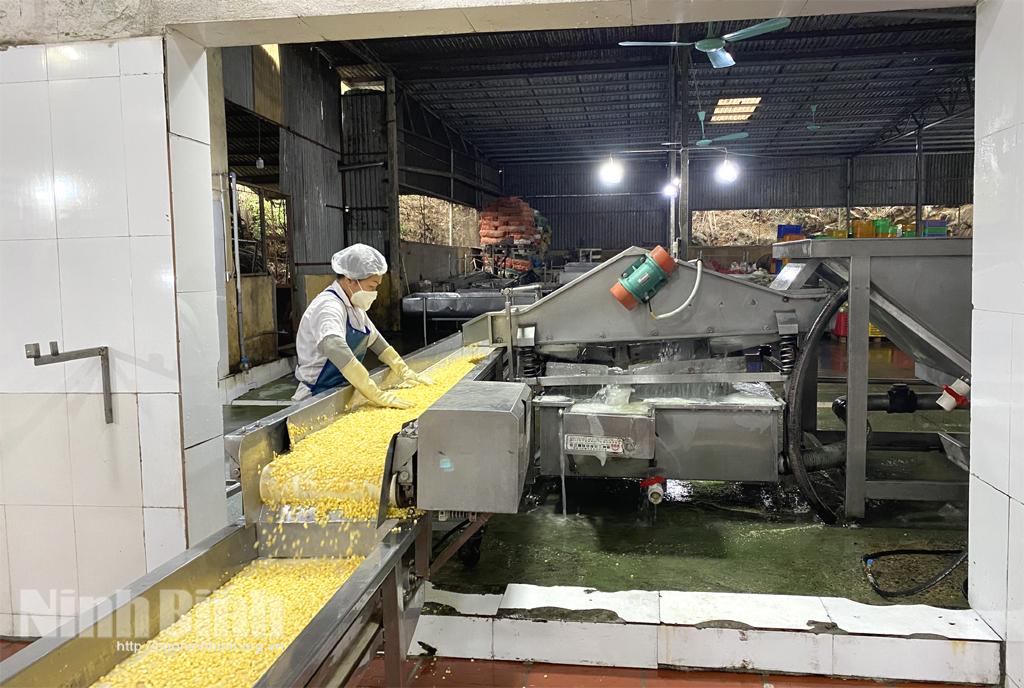 Doanh nghiệp xuất khẩu gặp khó bởi xung đột Nga - Ukraine