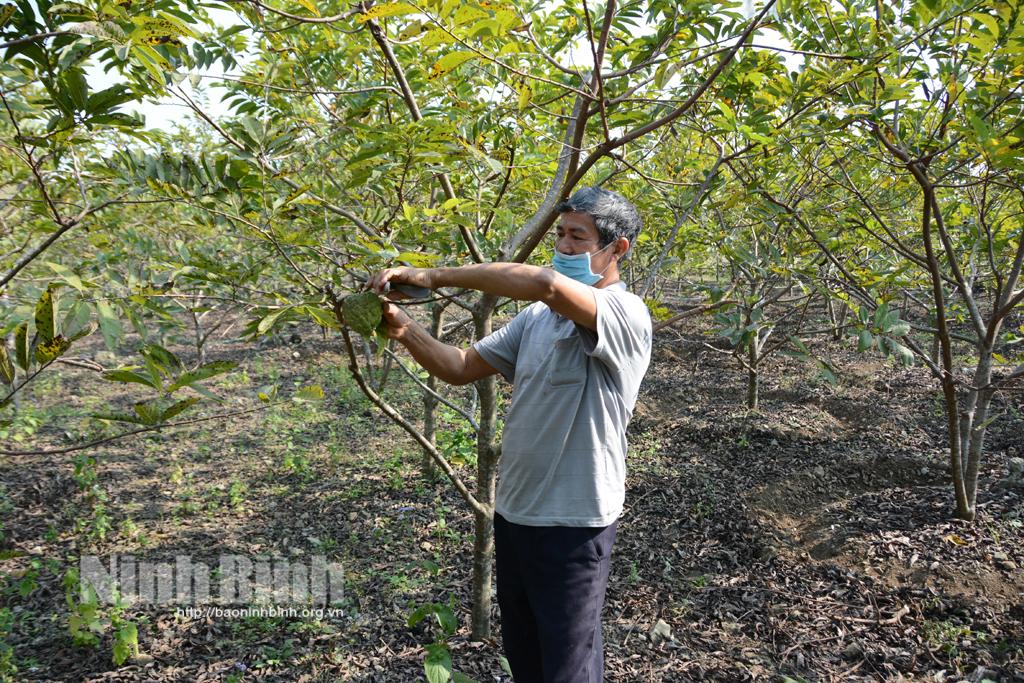 Người trưởng thôn nhiệt tình, tâm huyết với công việc