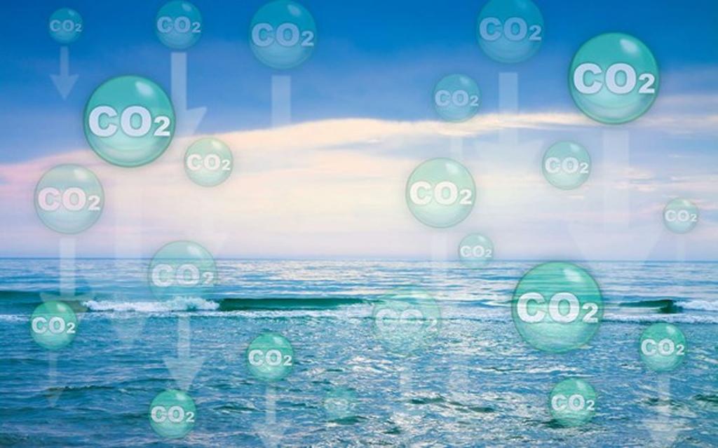 Phát hiện loại vi khuẩn mới có khả năng hấp thụ carbon tự nhiên