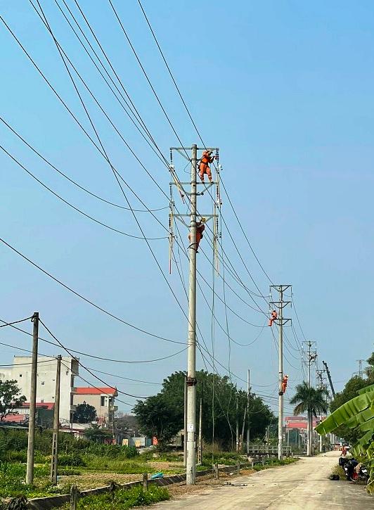 Đảm bảo cấp điện phục vụ Lễ kỷ niệm 200 năm danh xưng Ninh Bình và 30 năm tái lập tỉnh