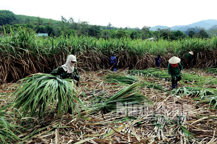 Bước chuyển trong công tác giảm nghèo