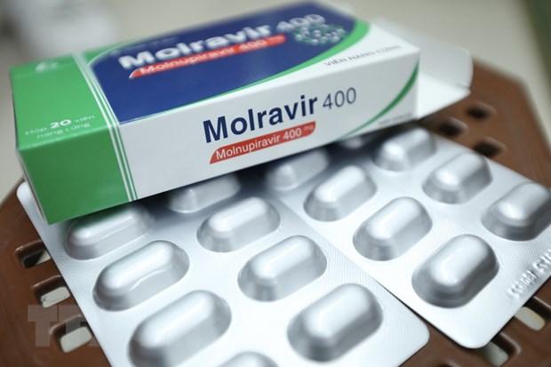 Hỏi đáp COVID-19: Có nên uống gộp liều thuốc Molnupiravir?