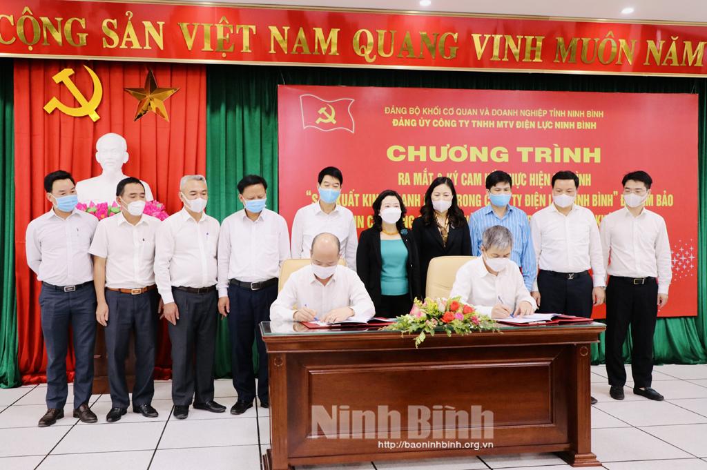 Ra mắt mô hình "Sản xuất kinh doanh khác trong Công ty TNHH MTV Điện lực Ninh Bình"