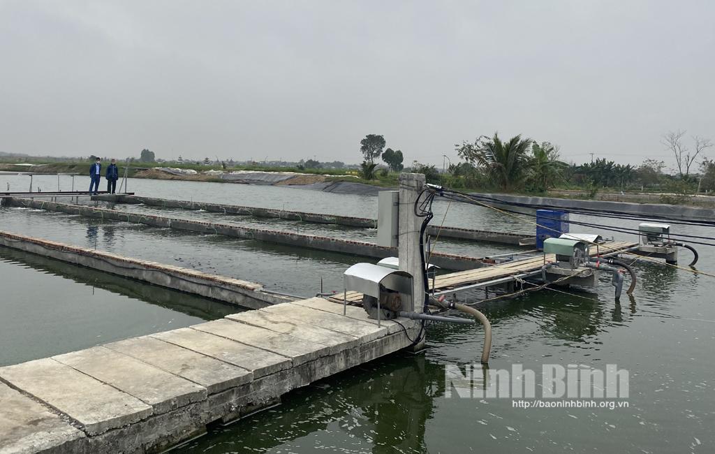 Mô hình "nuôi cá sông trong ao" -hướng đi mới cho phát triển nuôi trồng thủy sản bền vững ở Gia Hòa