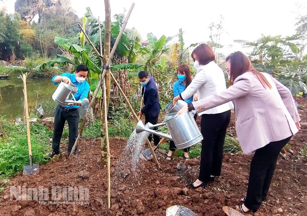 Liên đoàn lao động tỉnh phát động Tết trồng cây trong các cơ quan, doanh nghiệp