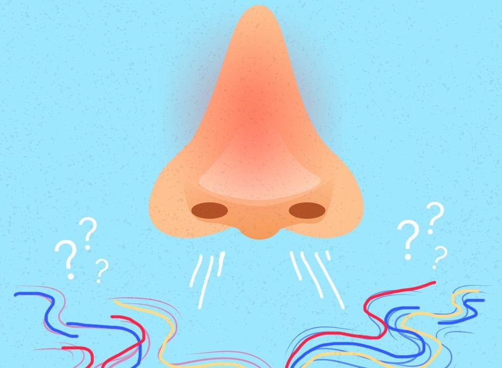 Mất khứu giác do COVID-19 có liên quan đến tổn thương não