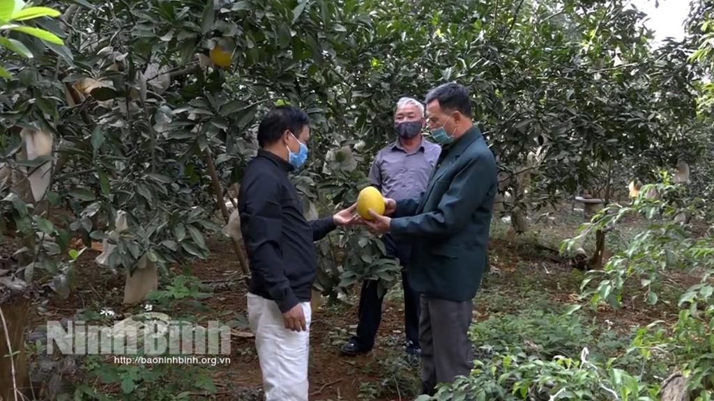 Cựu chiến binh thành phố Tam Điệp giúp nhau giảm nghèo, làm kinh tế giỏi