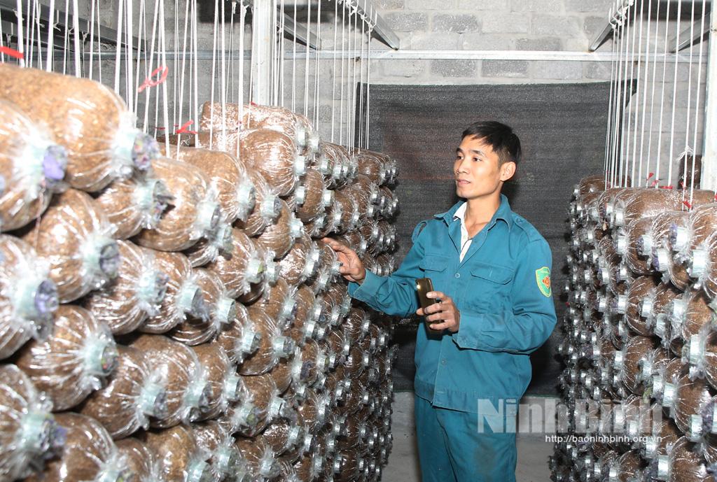 Những người trẻ làm nông nghiệp sạch