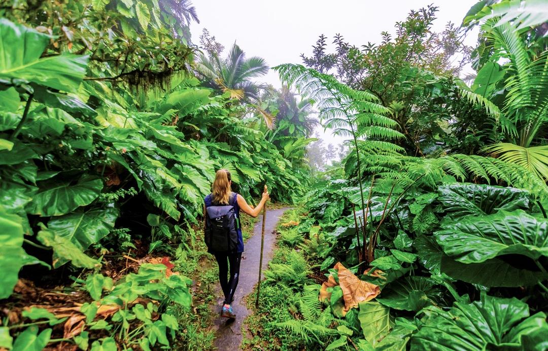 Du lịch bền vững: Tiết lộ các xu hướng 'xê dịch' trong năm 2022