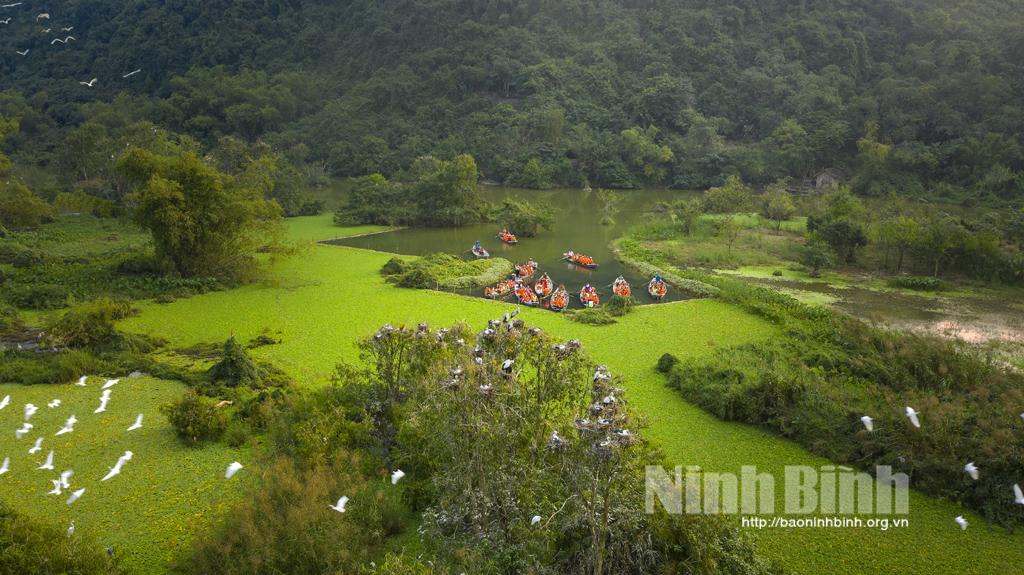 Ninh Bình phát triển du lịch gắn với bảo tồn đa dạng sinh học