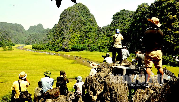 Tour du lịch chụp ảnh Mùa vàng Tam Cốc - "Điểm hẹn" tháng 5