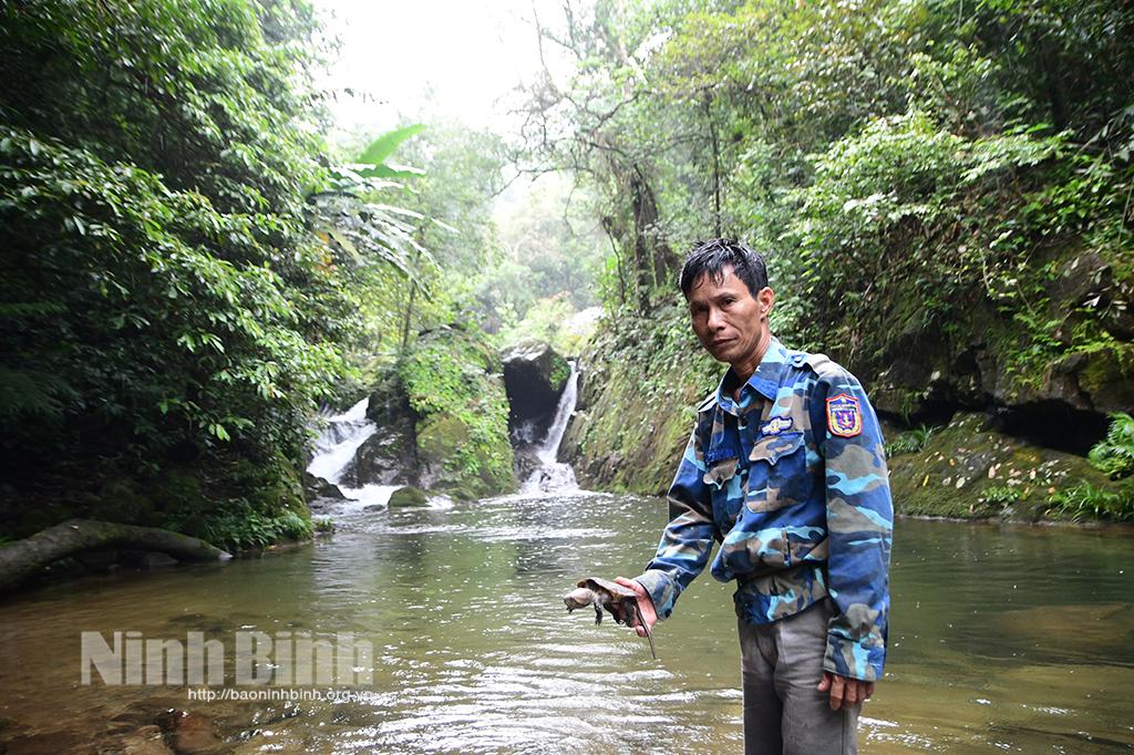 Tái thả số lượng lớn cá thể động vật hoang dã vào "Vườn Di sản ASEAN"