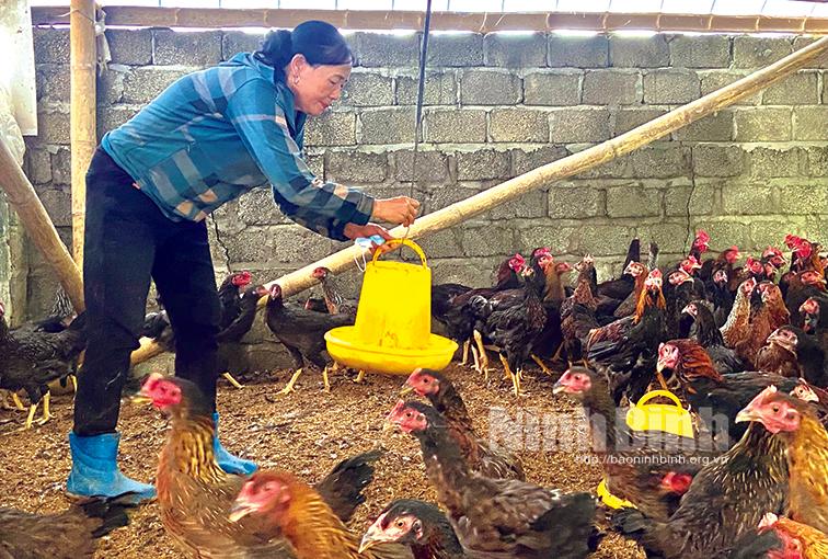 Yên Đồng khi cái "khó" không "bó" được người nông dân