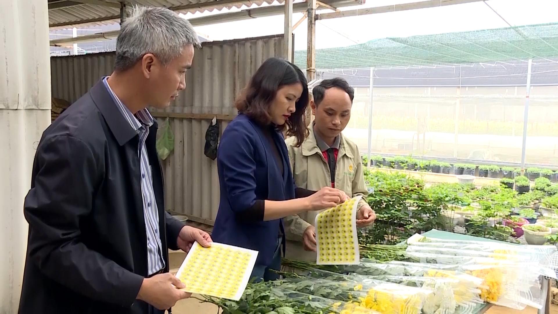 Ninh Binh promotes use of origin traceability stamps on farm produce