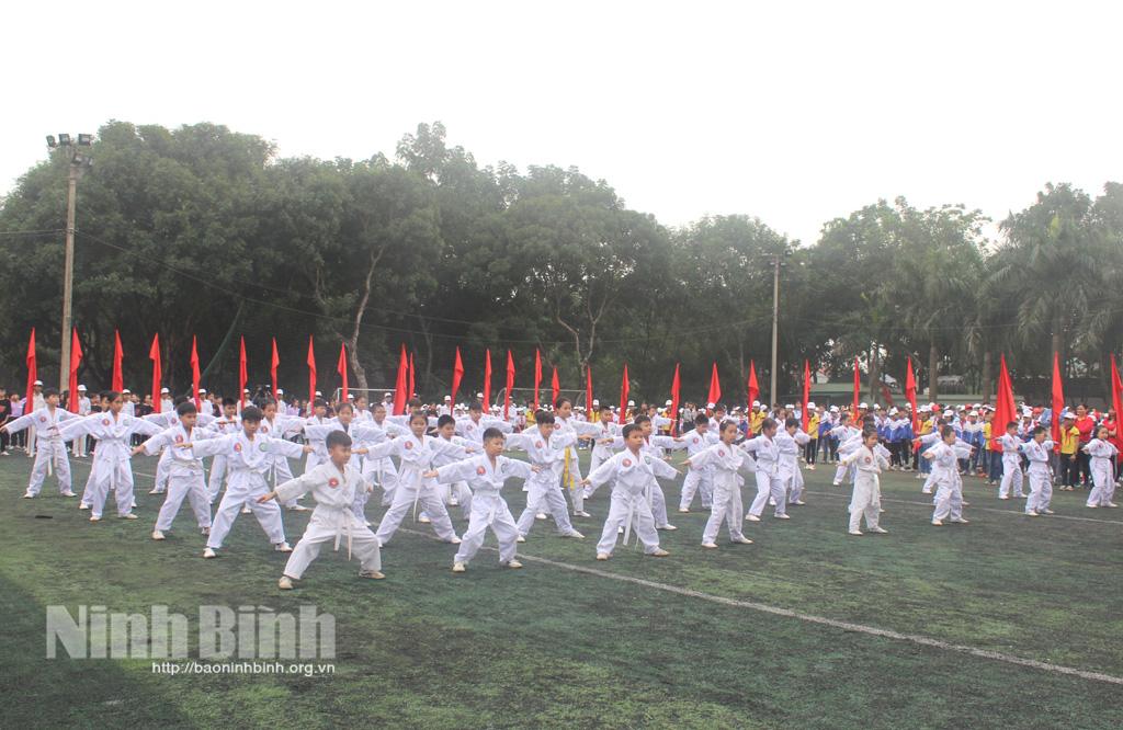 SEA Games 31 - cơ hội quảng bá phong trào luyện tập các môn võ tại Ninh Bình