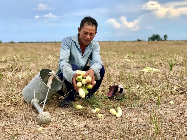 Biến đổi khí hậu là thách thức cấp bách với ngành nông nghiệp ASEAN