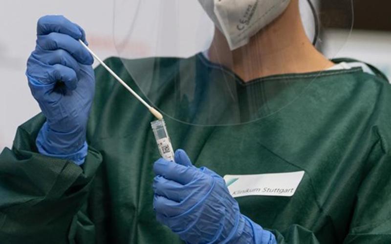 Nhà khoa học Bỉ giải trình tự gene của virus gây bệnh đậu mùa khỉ